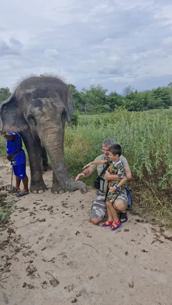 Go for a walk with an elephant